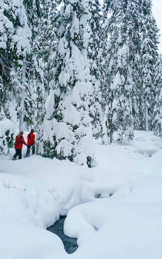 Arctic Skylight Lodge Akaslompolo Ngoại thất bức ảnh